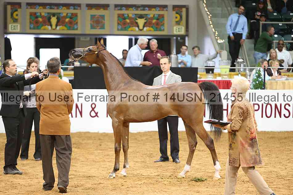 Proof 14usn_21455