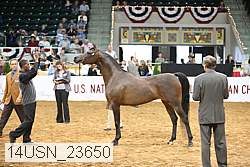14usn_23650 proof