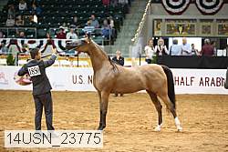 14usn_23775 proof