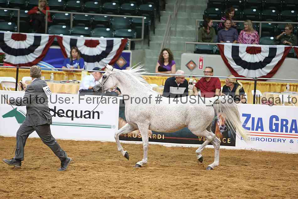 Proof 14usn_23865
