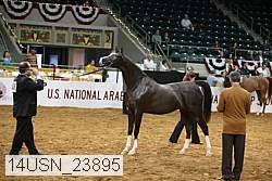 14usn_23895 proof