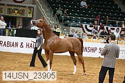14usn_23905 proof