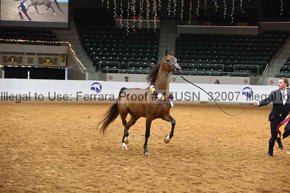 Proof 14usn_32007