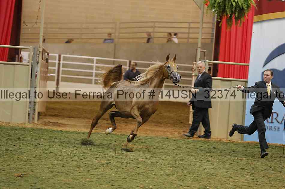 Proof 14usn_32374