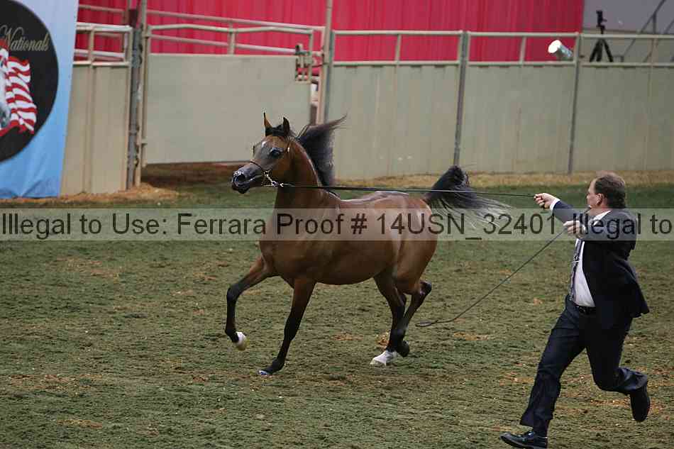 Proof 14usn_32401
