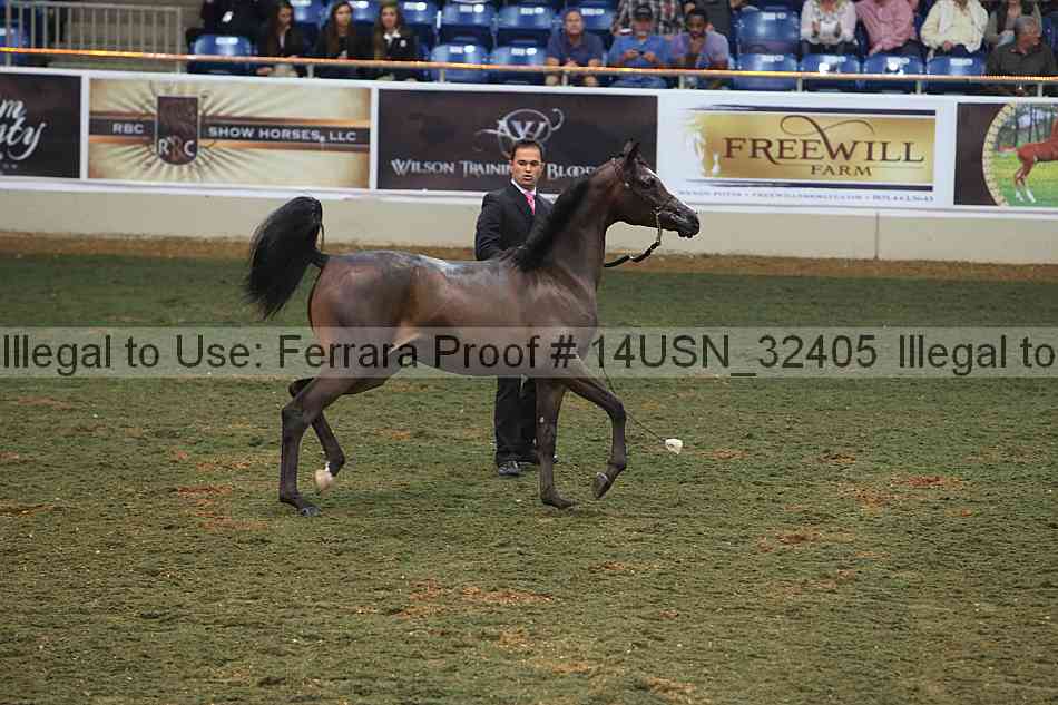 Proof 14usn_32405