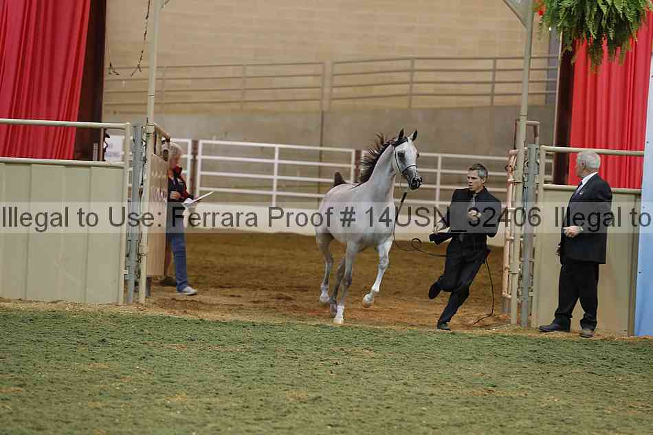 Proof 14usn_32406