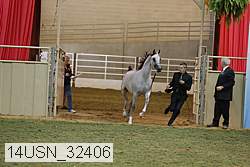 14usn_32406 proof