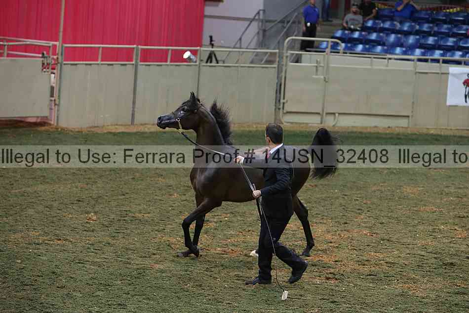 Proof 14usn_32408