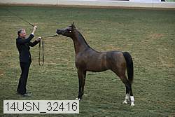 14usn_32416 proof