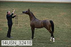 14usn_32418 proof
