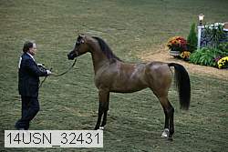 14usn_32431 proof