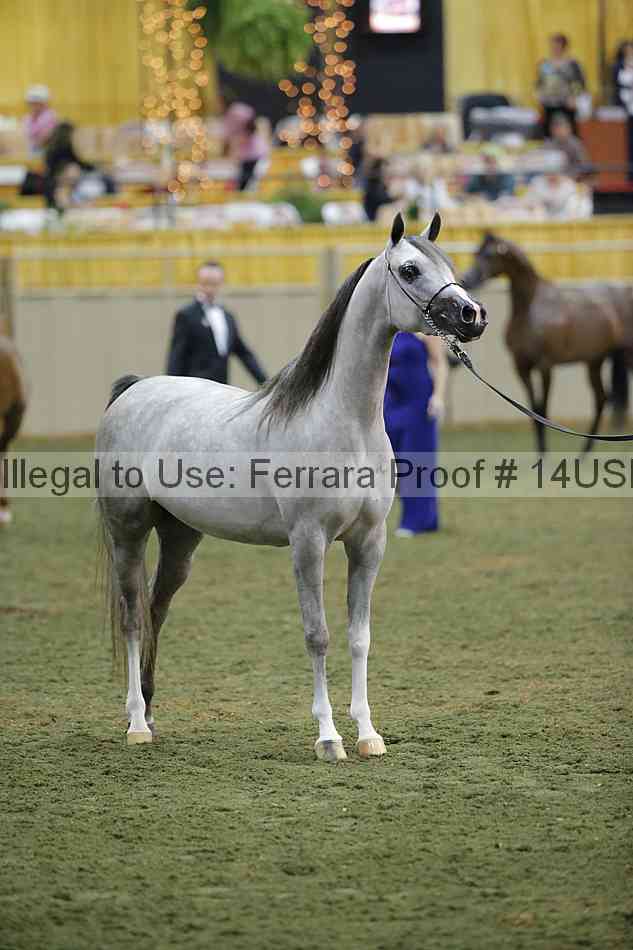Proof 14usn_32440
