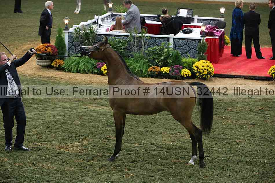 Proof 14usn_32442