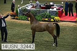 14usn_32442 proof