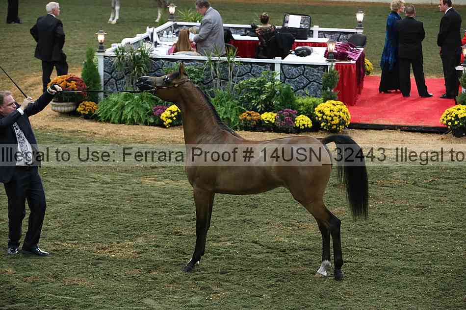 Proof 14usn_32443