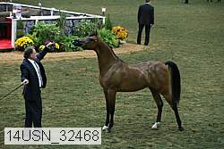 14usn_32468 proof