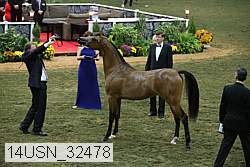 14usn_32478 proof