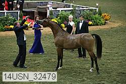 14usn_32479 proof