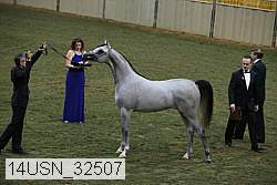 14usn_32507 proof