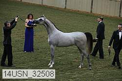 14usn_32508 proof