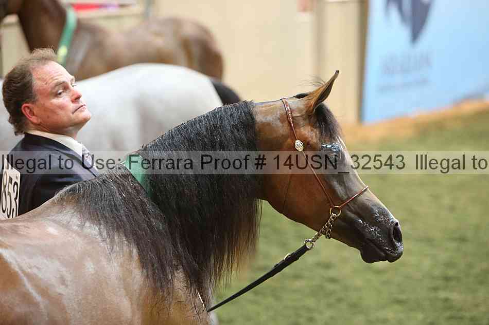 Proof 14usn_32543