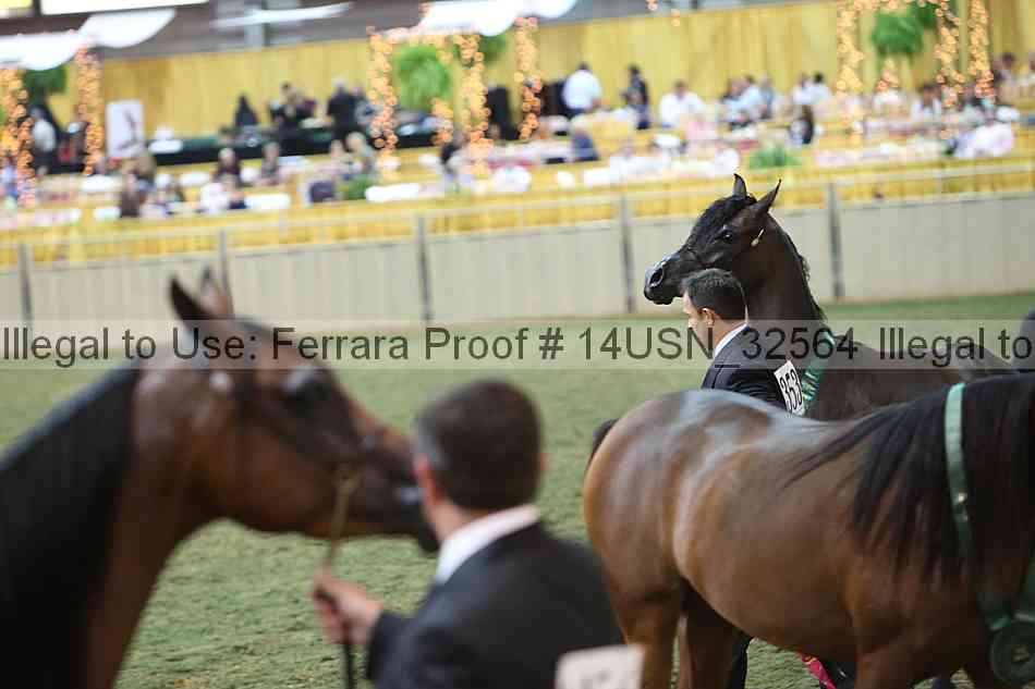 Proof 14usn_32564