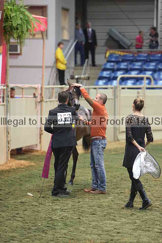 Proof 14usn_32570