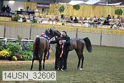 14usn_32606 proof