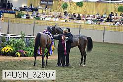 14usn_32607 proof