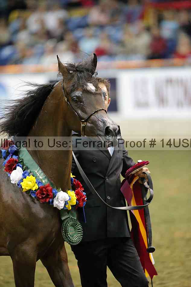 Proof 14usn_32614