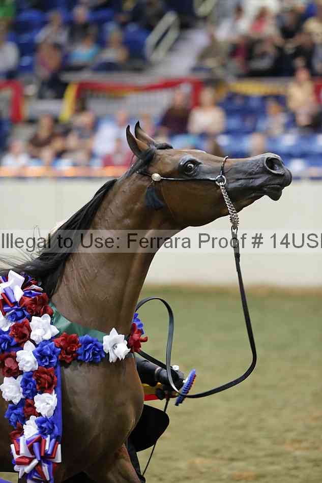 Proof 14usn_32624