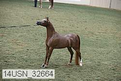 14usn_32664 proof