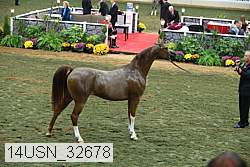 14usn_32678 proof