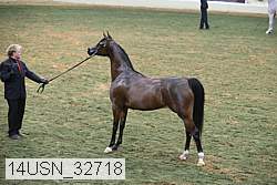 14usn_32718 proof