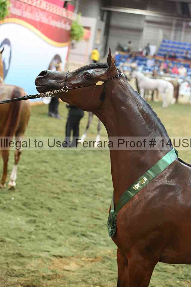 Proof 14usn_32732