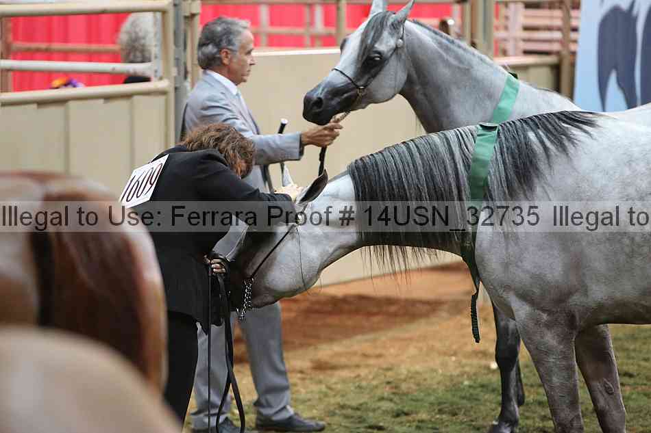 Proof 14usn_32735