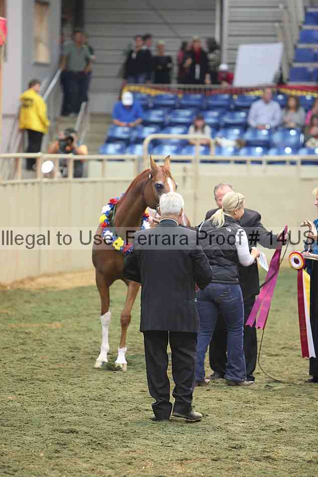 Proof 14usn_32764