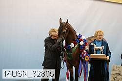 14usn_32805 proof