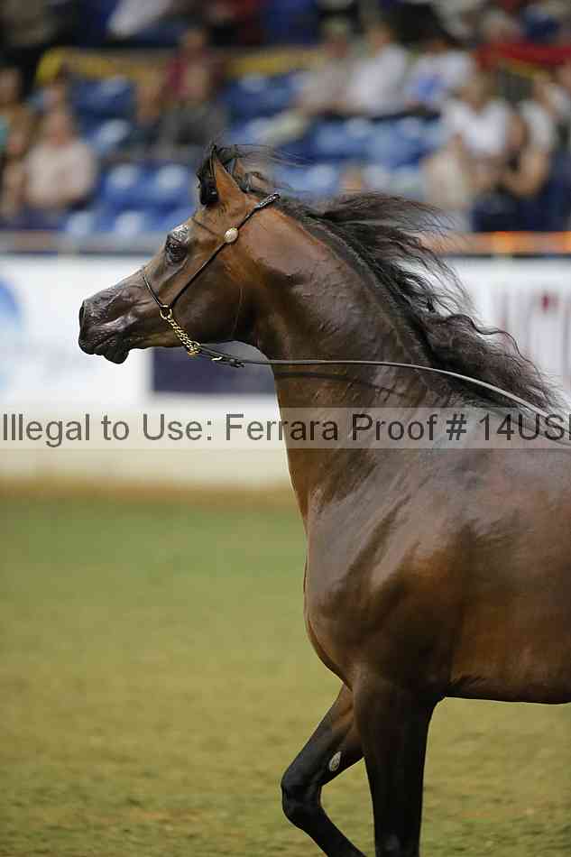 Proof 14usn_39877