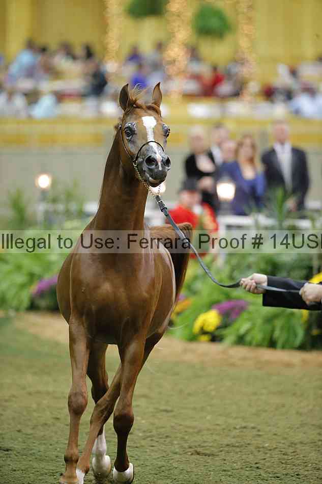 Proof 14usn_39887