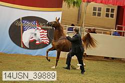 14usn_39889 proof
