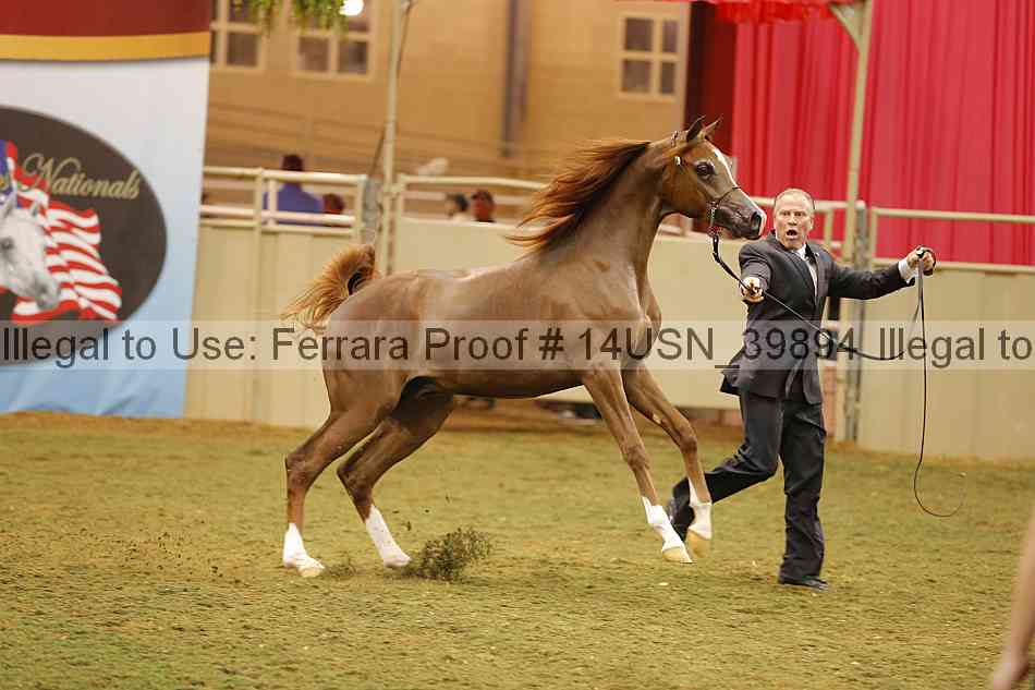 Proof 14usn_39894
