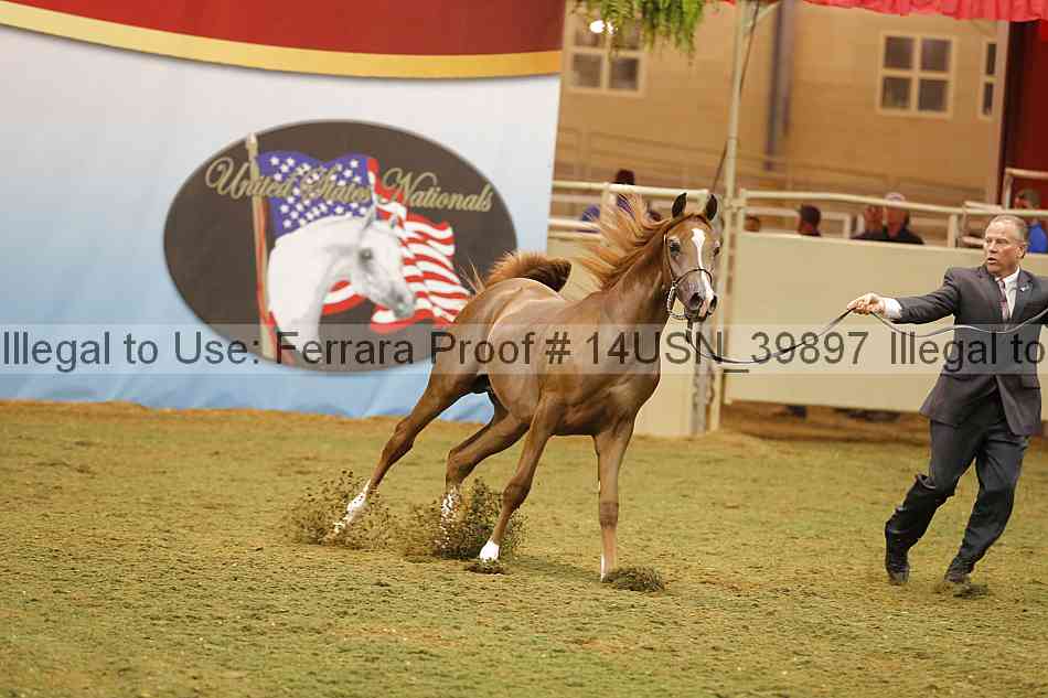 Proof 14usn_39897