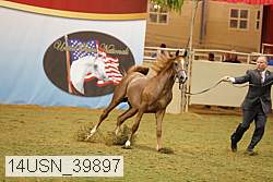 14usn_39897 proof