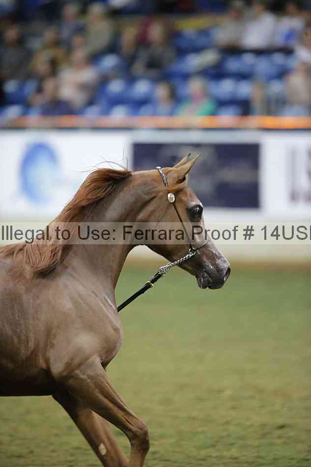 Proof 14usn_39898