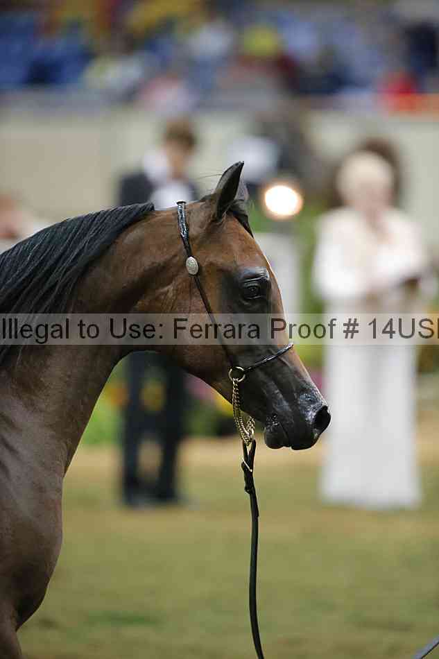 Proof 14usn_39901