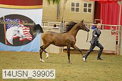 14usn_39905 proof