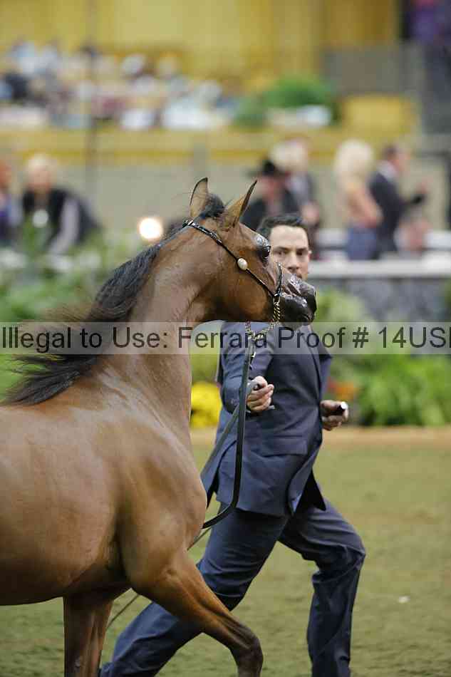 Proof 14usn_39912