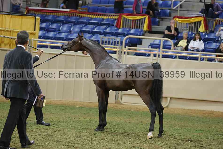 Proof 14usn_39959